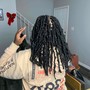 Butterfly  Locs