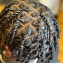 Starter Locs