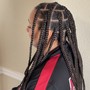 Starter Locs