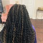 Crochet Braids locs