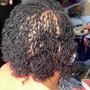 Comb Coils twist