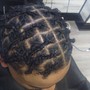 Starter Locs 2 Strand Twists consultation required