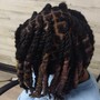 Starter Loc extensions ( Consultation required)