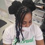 Braided Updo (natural hair)