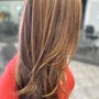 Highlights/full head