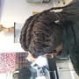 Poetic Justice Braids