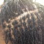 Faux Loc Extensions