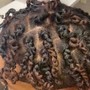 Extended Loc Braids