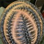 Sphinx Color Package (NATURAL HAIR)