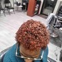 Twist Out