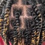 Natural Two Strand Twists