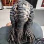 Locs Rope Twist or Plaits