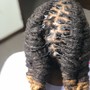 Shampoo and Retwist