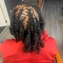 Individual Braids