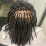 Deep Cleansing Shampoo and Retwist Only Any length.