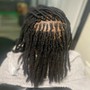 Deep Cleansing Shampoo and Retwist Only Any length.