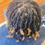 Soft locs hair JUST THE HAIR