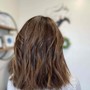 Partial Highlights (long hair)