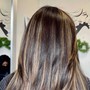 Partial Highlights (up to shoulder length)