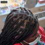 Butter fly loc ( waist length)