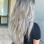 Roots Permanent  color /grey coverage & CUT