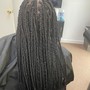 Hair Color  (Locs-Full head)