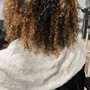 Root Touch Up