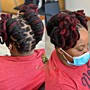 Starter Locs Consultation