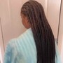 8-10 feed in braids