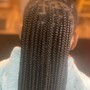 Partial Sew In w/ Braids