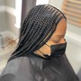 Fulani/tribal braids