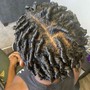 Passion Twists (Large - Midback)