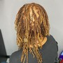 Starter Locs