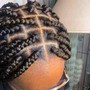 Medium Box Braids