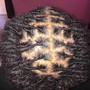 Trichology Scalp and Hair Consultation