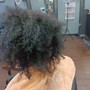 Root Touch Up