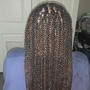 Small Senegalese Twist