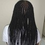 Meduim Senegalese Twist