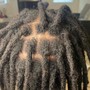 Smedium Starter locs