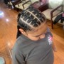 Braided Bun or Ponytail (Med-Large Braids)