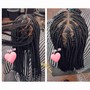 Butterfly Locs ( Bob length)