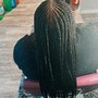 Goddess Braids/ layers