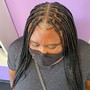 Takedown Faux locs or Butterfly Locs