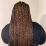 Mid back Senegalese Twist