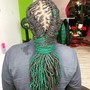 Starter Locs