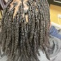 Root Touch Up