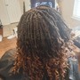 Root Touch Up