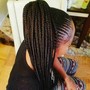 Havana Twists