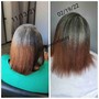 Olaplex Treatment/only