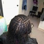 Havana Twists